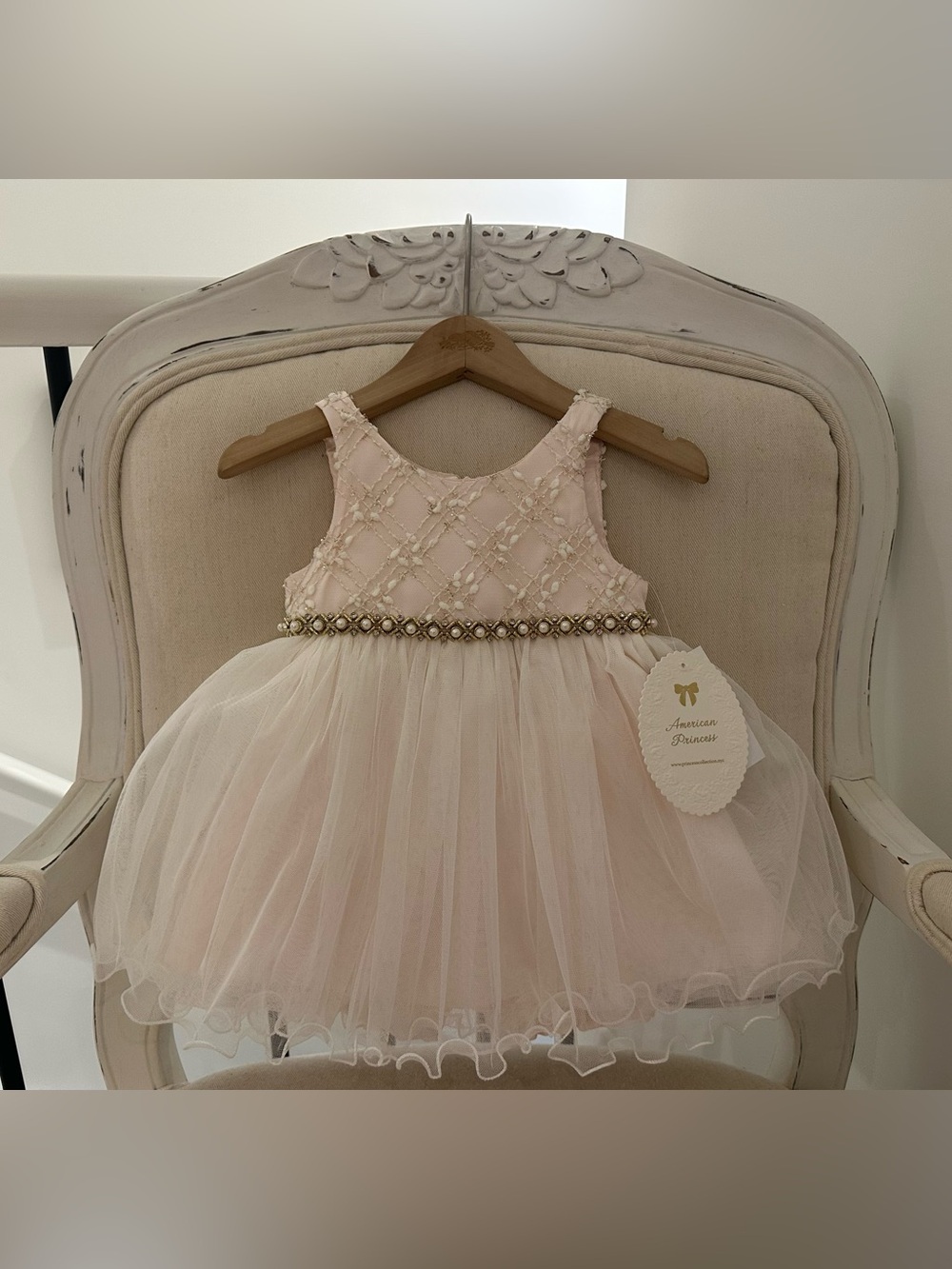 🦢 9 Mth Pale Pink~Ivory Embroidered Baby Dress & Bloomers NWT American Princess